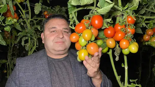 Termometrelerin Eksiye Düştüğü Mersin’de Zirai Don Seferberliği